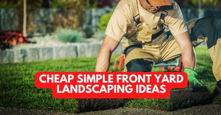 Cheap Simple Front Yard Landscaping Ideas