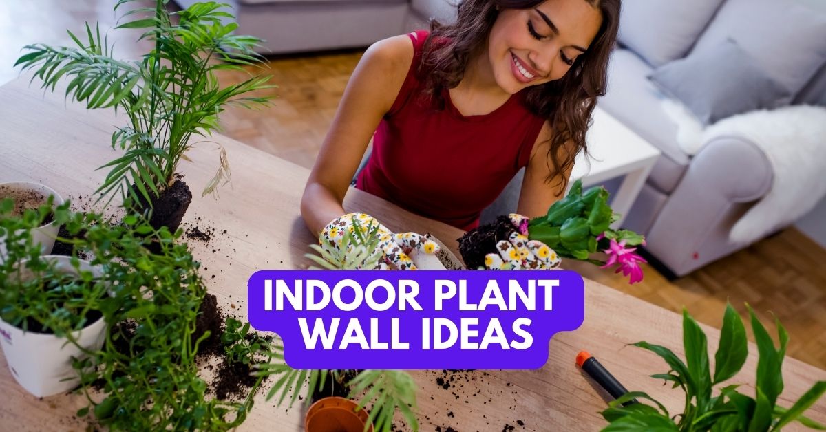 Indoor Plant Wall Ideas