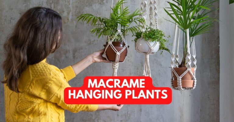 Macrame Hanging Plants
