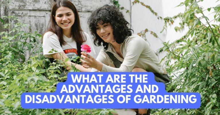What Are The Advantages And Disadvantages Of Gardening