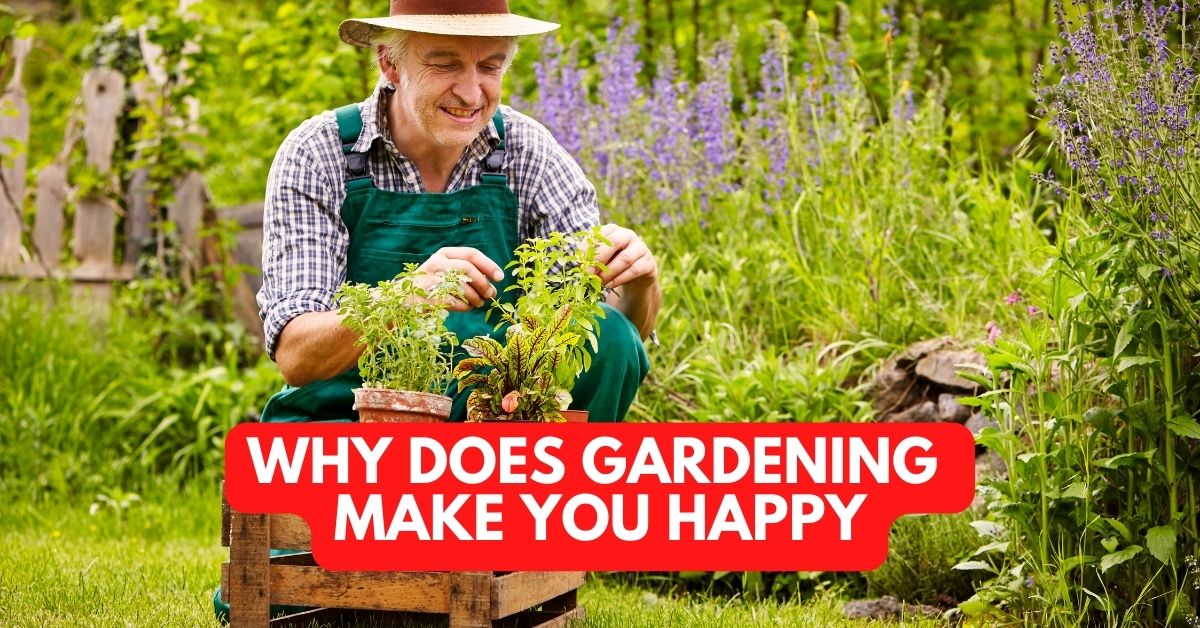 Why Does Gardening Make You Happy
