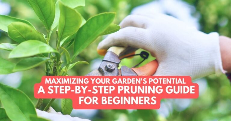 Maximizing Your Garden’s Potential A Step-by-Step Pruning Guide for Beginners