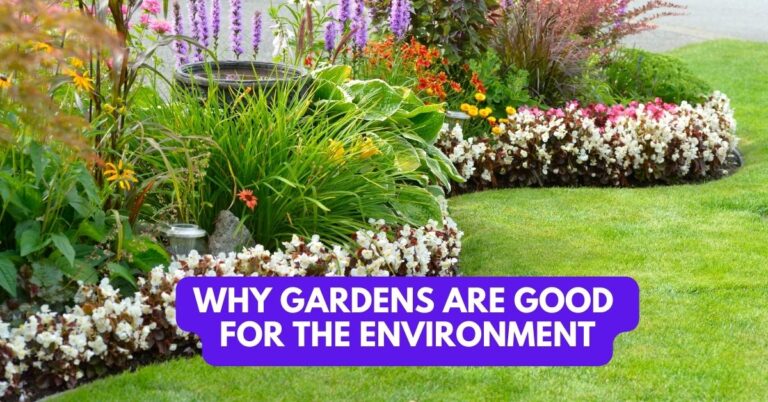 Why Gardens Are Good For The Environment