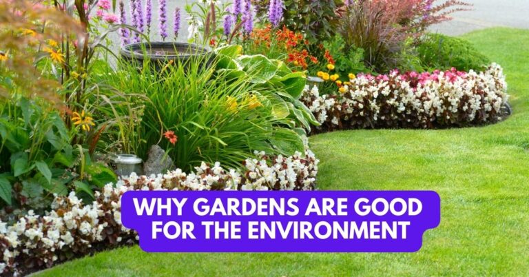 Why Gardens Are Good For The Environment