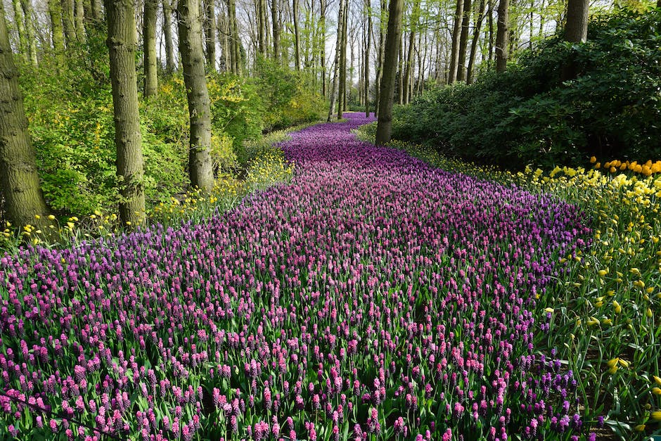 why gardens are good for the environment