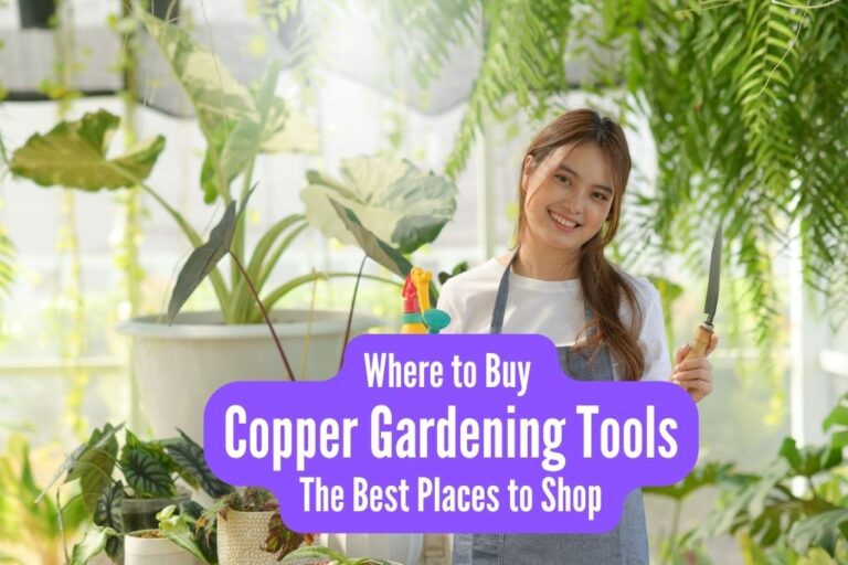 Where To Buy Copper Gardening Tools: The Best Places To Shop