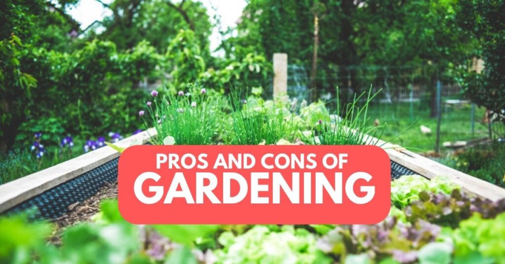 Pros and Cons of Gardening