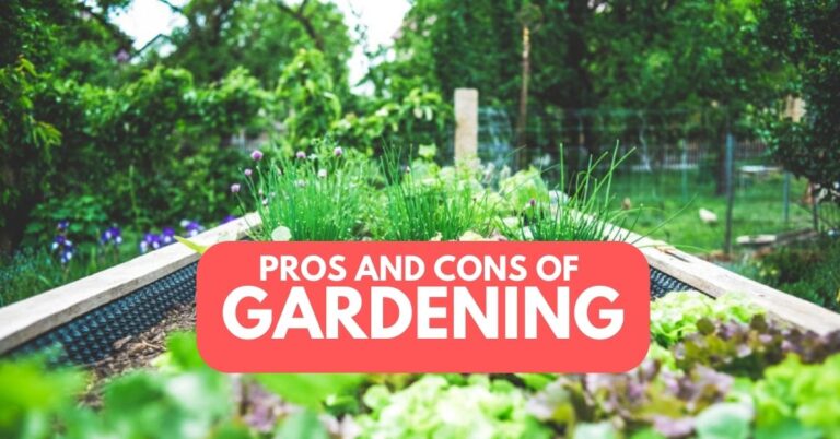 Pros and Cons of Gardening: A Comprehensive Guide