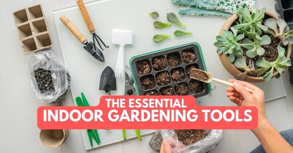 The Essential Indoor Gardening Tools