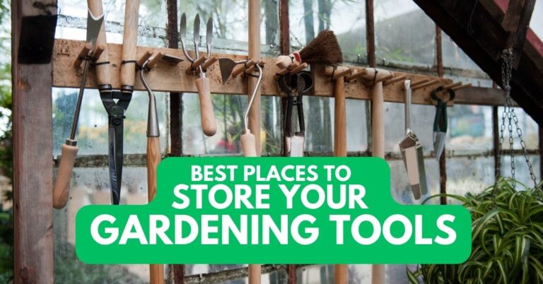 What are the best places to store your gardening tools?
