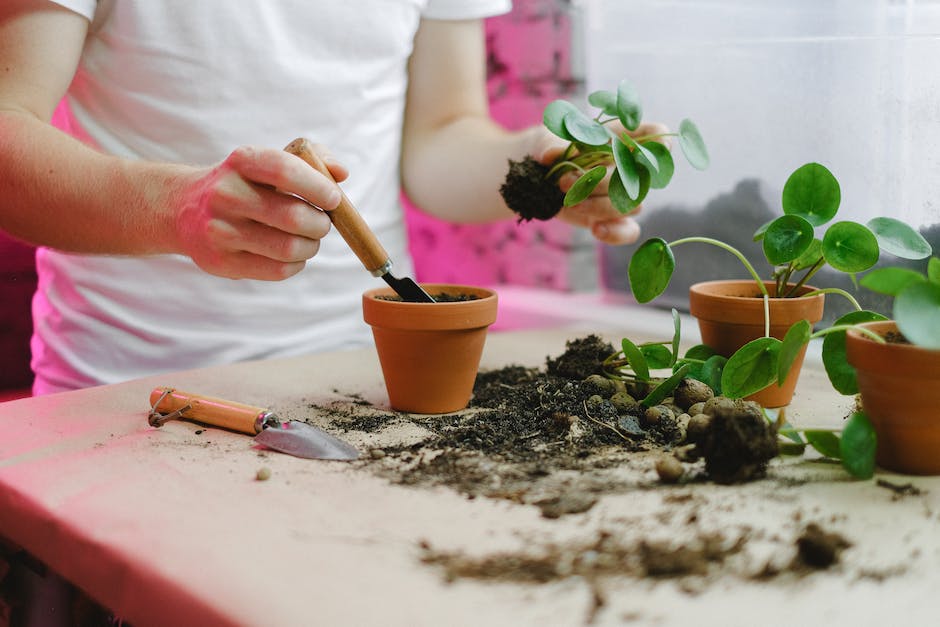 Copper Gardening Tools: The Lasting Choice for Your Garden