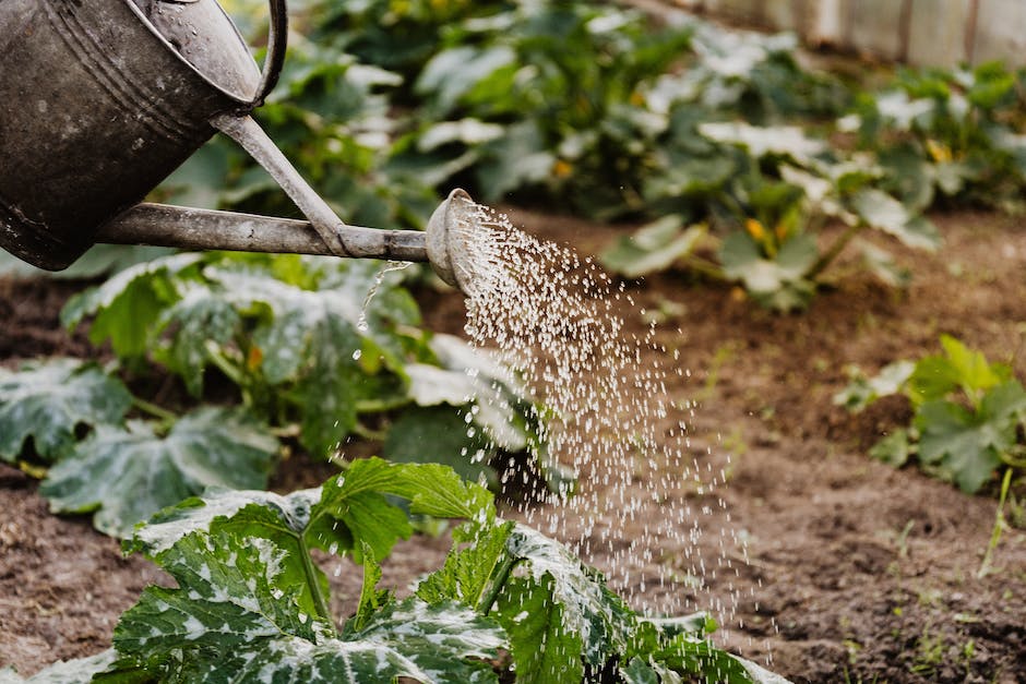 Copper Gardening Tools: The Lasting Choice for Your Garden